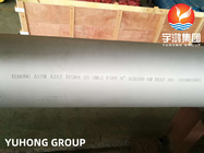 Östenitik Paslanmaz Çelik ASTM A312 TP304 1.4301 Dikişsiz Boru